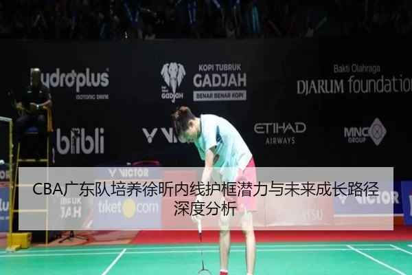 CBA广东队培养徐昕内线护框潜力与未来成长路径深度分析